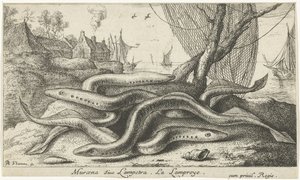 River lampreys on a shore (Fish and other sea creatures - freshwater second series) by Albert Flamen