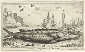 Sturgeon on the Beach by Albert Flamen