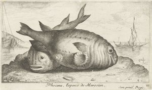 Two Porpoises on the Beach by Albert Flamen