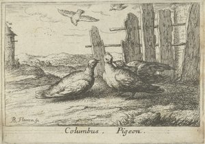 Two Doves by a Fence by Albert Flamen