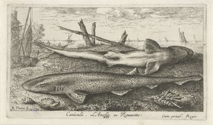 Two Dogfish on the Beach by Albert Flamen