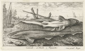 Two Dogfish on the Beach by Albert Flamen