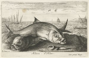 Two Shad Fish on the Beach by Albert Flamen