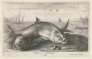 Two Shad on the Beach by Albert Flamen