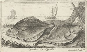 Two Flounders on the Beach by Albert Flamen