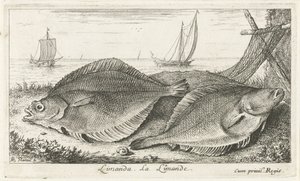 Two Flounders on the Beach by Albert Flamen