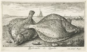 Two Plaice on the Beach (series title: Fish and Other Sea Creatures - Saltwater Third Series) by Albert Flamen