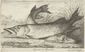 Two Pikes on a Riverbank by Albert Flamen