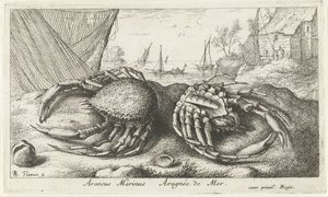 Two Spider Crabs by a Fishing Net (Saltwater Series) by Albert Flamen