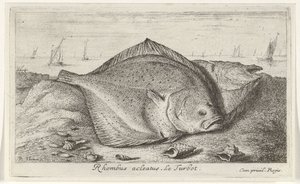 Two Turbots on the Beach by Albert Flamen