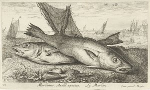Two Whiting on the Beach by Albert Flamen