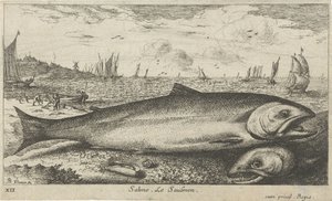 Two Salmon on the Beach (series title: Fish and Other Sea Creatures - Saltwater First Series) by Albert Flamen