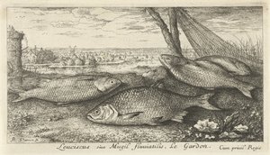 Four Roaches by a Fishing Net (Fish and Other Sea Creatures - Freshwater First Series) by Albert Flamen