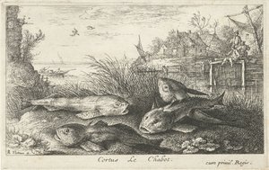 Four Chubs on a Riverbank (Fish and Other Sea Creatures - Freshwater Second Series) by Albert Flamen