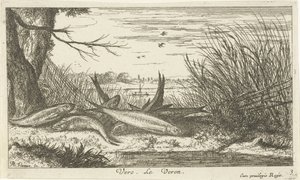 Roaches on a Riverbank by Albert Flamen