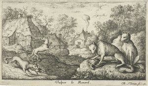 Foxes (Various Animal Species, series title) by Albert Flamen