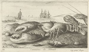Lobster on the Beach (Vissen en andere zeedieren - zoutwater eerste reeks, Diverses Especes de Poissons de mer) by Albert Flamen