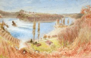 Falls of the Rhine