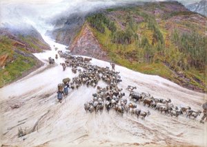 The Goat-Herd in the Swiss Alps