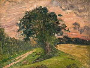 Evening Landscape. Tisvilde