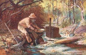 Australian Types: The 