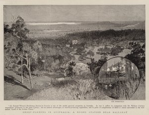 Sheep-Farming in Australia, a Model Station Near Ballarat by Albert Henry Fullwood