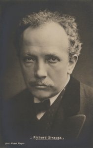 Portrait of the Musical Composer, Richard Strauss by Albert Meyer