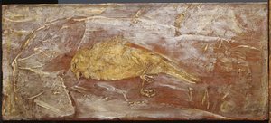 Dead Bird