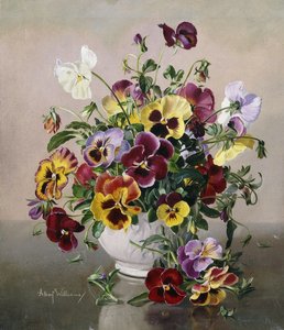 A Still Life with Pansies by Albert Williams
