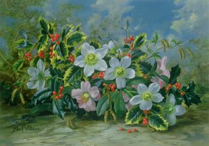 Christmas Roses and Holly by Albert Williams