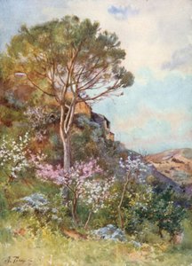 Near Calatafimi