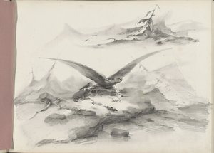 Eagle Flying Over a Coast with Mountains by Albertus van Beest