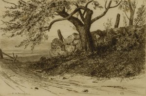 Country Road