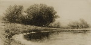 Pond and Trees