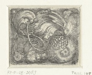 Pomegranate and Foliage by Albrecht Altdorfer