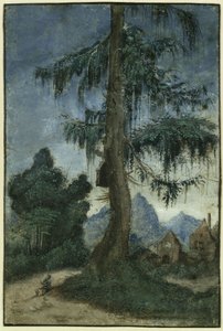 Landscape with Spruce by Albrecht Altdorfer