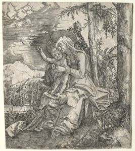 The Virgin in a Landscape