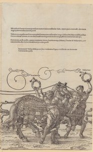 Acrimonia, Plate 6 from the Series 