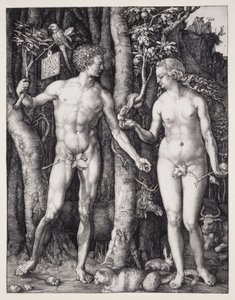 Adam and Eve by Albrecht Dürer
