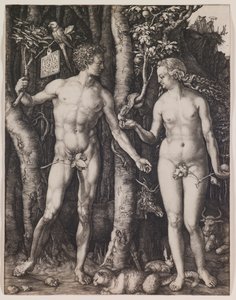 Adam and Eve by Albrecht Dürer