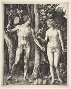 Adam and Eve by Albrecht Dürer