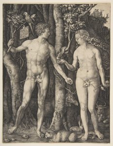 Adam and Eve by Albrecht Dürer
