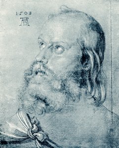 Apostle Head