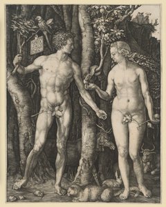 The Fall of Man by Albrecht Dürer