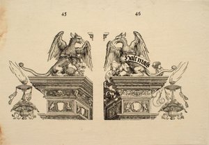 Detail by Albrecht Dürer
