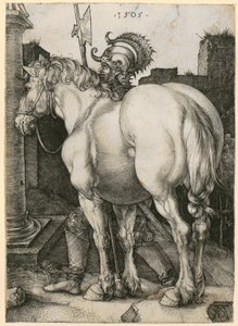 The Large Horse by Albrecht Dürer