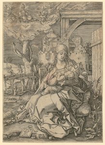 Virgin with Child by Albrecht Dürer