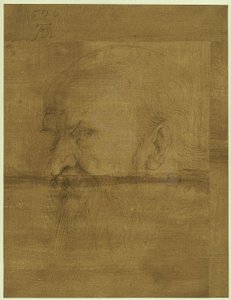 Head of the Apostle Paul by Albrecht Dürer