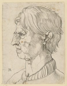 Head of an Older Beardless Man, in Profile Facing Left by Albrecht Dürer