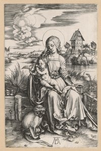 Mary with the Child and the Monkey by Albrecht Dürer
